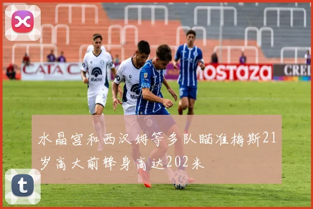 水晶宫和西汉姆等多队瞄准梅斯21岁高大前锋身高达202米